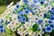 6-Bundle Artificial Outdoor Flowers – Faux Blue Silk Daisies with Eucalyptus, UV-Resistant Realistic Plants for Planters, Porch, Patio, Garden, and Home Decor (White & Blue)